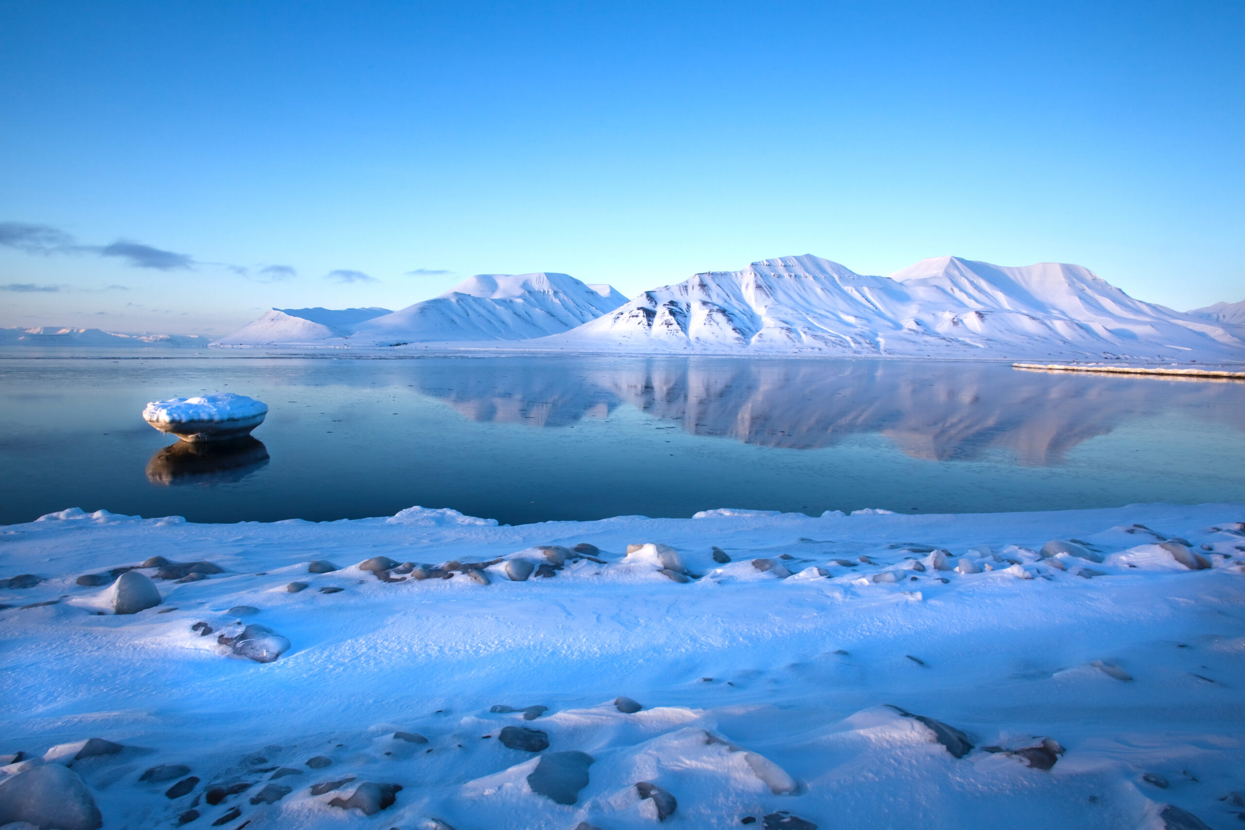 Det snødekte Spitsbergen-fjellet speiler seg i Isfjorden med blå himmel som bakgrunn. Foto.