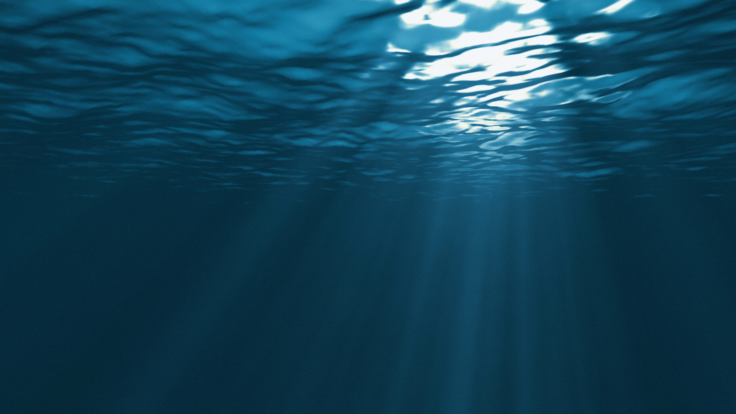 Under havet. Lysstråler kommer ovenfra. Foto