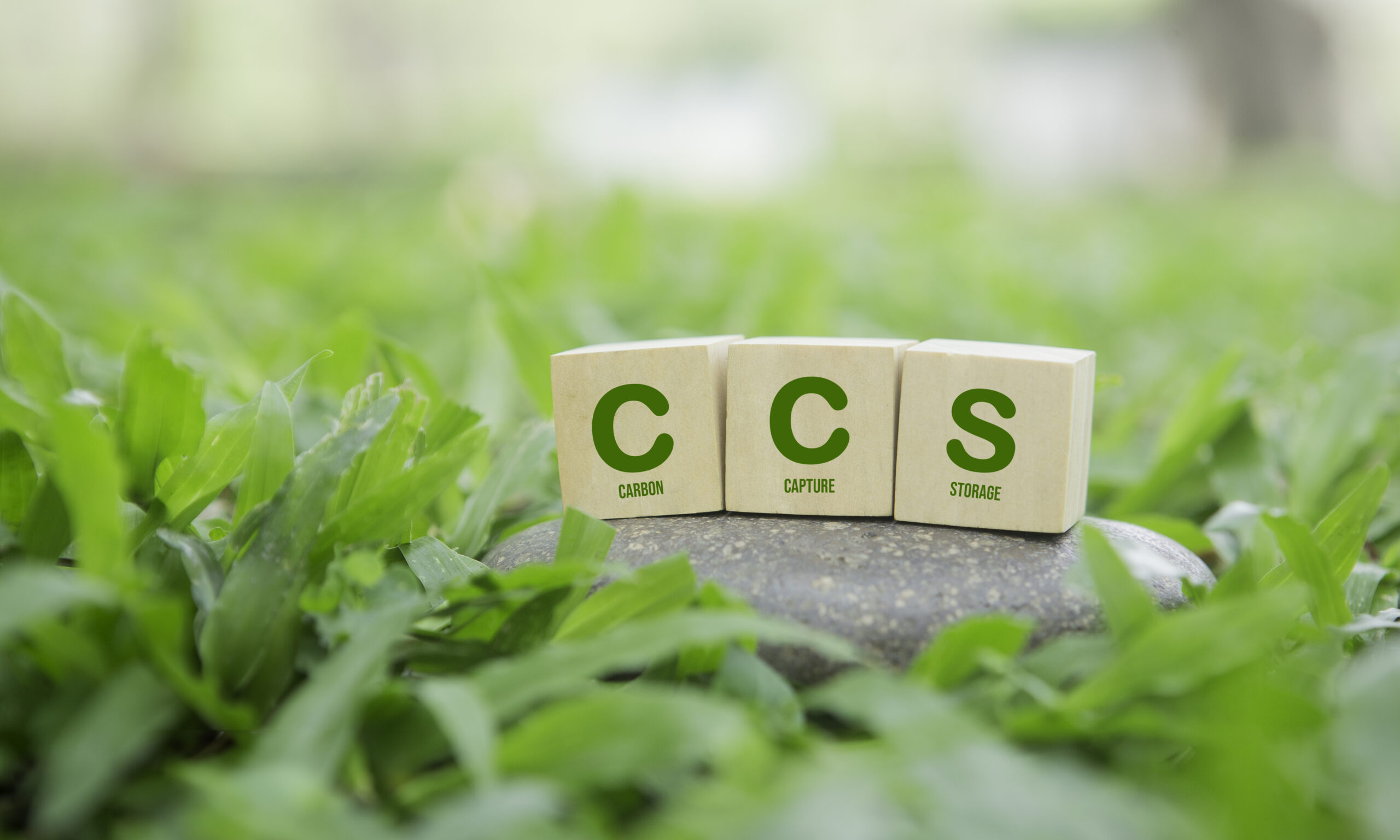 Tre treklosser med bokstavene "C", "C" og "S" står på en stein omgitt av grønt gress. Bokstavene står for "Carbon", "Capture" og "Storage". Foto.